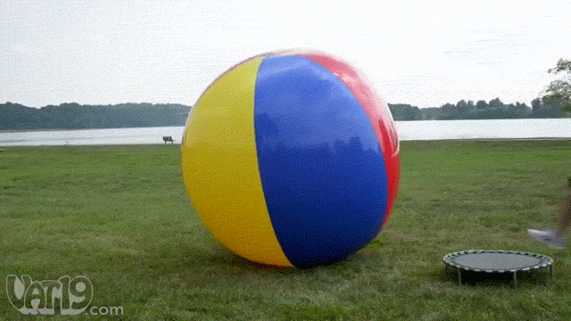 giphy.gif