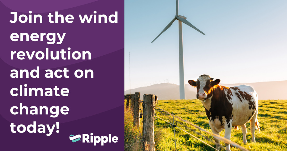 rippleenergy.com