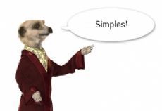 simples%20meerkat.jpg