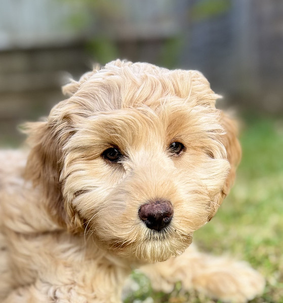 steve1962.smugmug.com